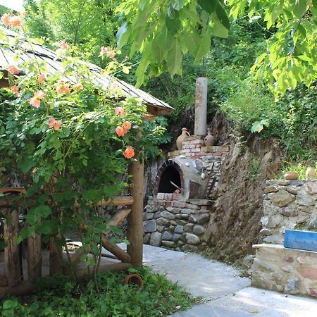 Nikala'S House 호텔 보르조미 외부 사진